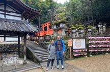 Private Nara Tour with Government Licensed Guide & Vehicle (Kyoto Departure)