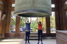 Private Nara Tour with Government Licensed Guide & Vehicle (Kyoto Departure)