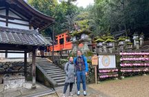 Private Nara Tour with Government Licensed Guide & Vehicle (Osaka Departure)