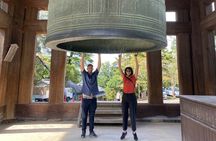 Private Nara Tour with Government Licensed Guide & Vehicle (Osaka Departure)