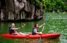 Discover Halong Bay - Titop Island - Surprise Cave 1 Day with Lunch From Hanoi
