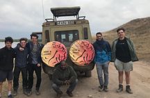 4 Days Tanzania Safari Tarangire, Serengeti and Ngorongoro Crater