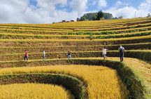 Full day motorbike Mu Cang Chai