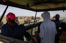 4 Days Tanzania Budget Safari