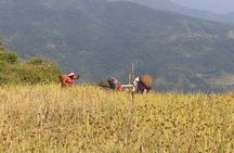 Mardi Himal Trek from Pokhara-Gems of Annapurna Region