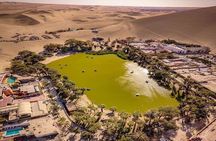 From Lima: Full day Paracas - Ica
