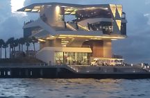 Bay Area Info Tours- Tours of Pinellas in a Luxury Mini Van