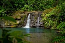 Cahuita National Park Nature Walk & Waterfall Tour