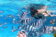 3-Hour Private Lagoon Tour Bora Bora