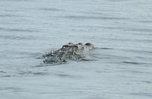 Isla Blanca wildlife expedition private bike & boat tour cancun mexico