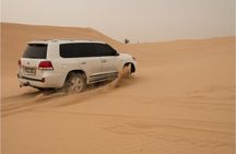 Abu Dhabi morning desert safari - Private car 