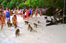 VIP Private Boat to Phi Phi Island: Snorkeling + Land Tour