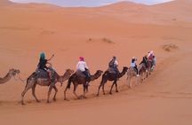 Private 5 Days Trip from Fez to Marrakech via Merzouga Desert 
