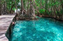 Celestun mangrove boat tour from Mérida