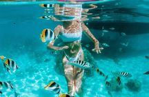 Full Day Tour : Moorea Snorkeling & Sunset Cruise on a Catamaran named Taboo