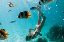 Full Day Tour : Moorea Snorkeling & Sunset Cruise on a Catamaran named Taboo