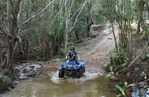 Horse and Quad bike tour with a visit to a Petting Zoo
