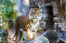 7 Day Golden Triangle Tour with Wildlife-Taj Mahal Tigers & Birds