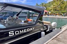 Half Day Luxury Catamaran Turtle Snorkel And Beach
