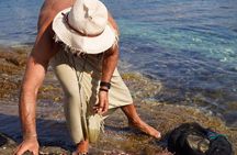 Minoan Luxuries: Ancient Palaces, Messara Wine Routes & Matala