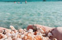 Your Tailored Elafonisi Escape. Luxury Day Tour from Elounda.