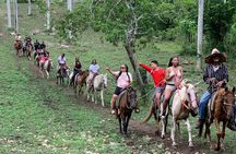 Horseback Riding with Pickup from Punta Cana