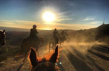 Mt. Hollywood Trail Tour on Horseback