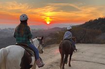 Mt. Hollywood Trail Tour on Horseback