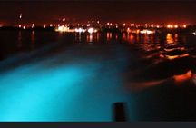 Private Luminous Lagoon Night Cruise from Montego Bay
