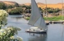 Aswan one day tour ( phila temple &high dam & obelisk)