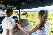 Day Excursion at Udawalawe National Park From Galle