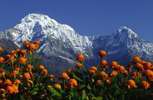 5 Days Annapurna Base Camp Trek