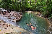 Ancient Lava Stream Trek through dense Tropical forest.