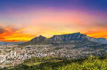 Cape Town Full-Day Cape of Good Hope, Penguins Small Group Tour