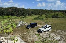 Private Cozumel Cave and Ruin Exploration Tour with Mexican Lunch
