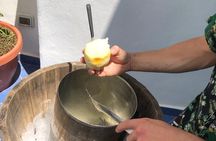 Lemon Experience with limoncello demonstration