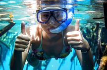 Turtle Sightseeing at Akumal & Underground Caves Tour