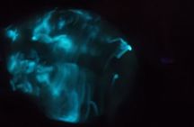 Florida Bioluminescence Kayaking Tour (Titusville)
