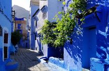 2 Days, 1 night to Blue city Chefchaouen from Casablanca or Rabat