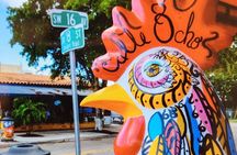 Little Havana Walking Tour + 1 Hour Everglades Airboat Ride