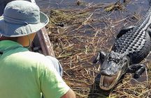 Little Havana Walking Tour + 1 Hour Everglades Airboat Ride