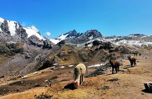 Rainbow Mountain private Tour 1 Day, departure from Cusco at 07:00 AM