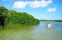 Sian Ka'an Trip from Playa del Carmen & Tulum