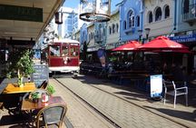 Christchurch - City, Beaches, Port & More by Tesla -6hrs