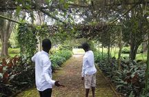 Aburi Gardens and Tetteh Quarshie Farms