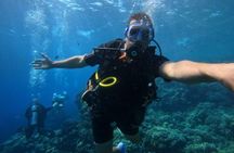Hurghada Underwater Adventure – Full-Day Scuba Diving with Lunch
