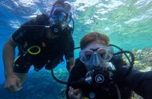 Hurghada Underwater Adventure – Full-Day Scuba Diving with Lunch