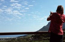 Cape Point & Penguins: A Private Cape Peninsula Guided Day Tour.