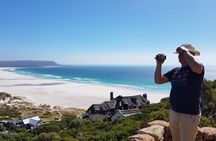 Cape Point & Penguins: A Private Cape Peninsula Guided Day Tour.