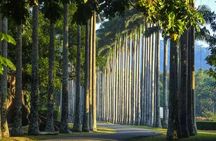 Private Kandy Day Tour From Negombo